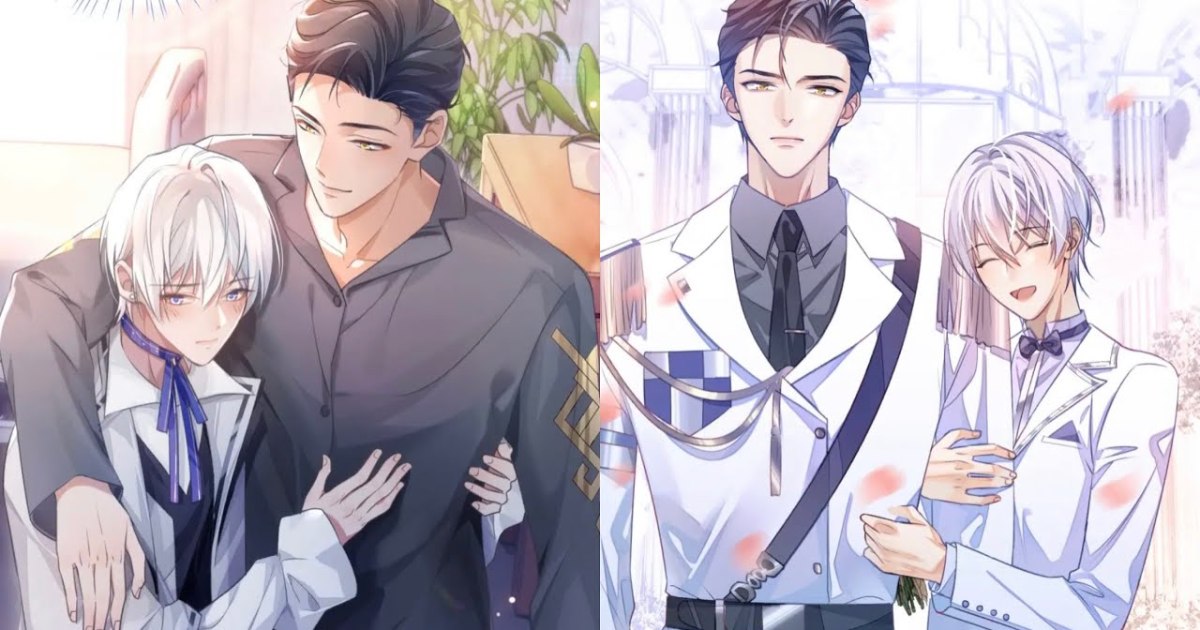 truyện tranh đam mỹ buồn Đơn xin ly hôn