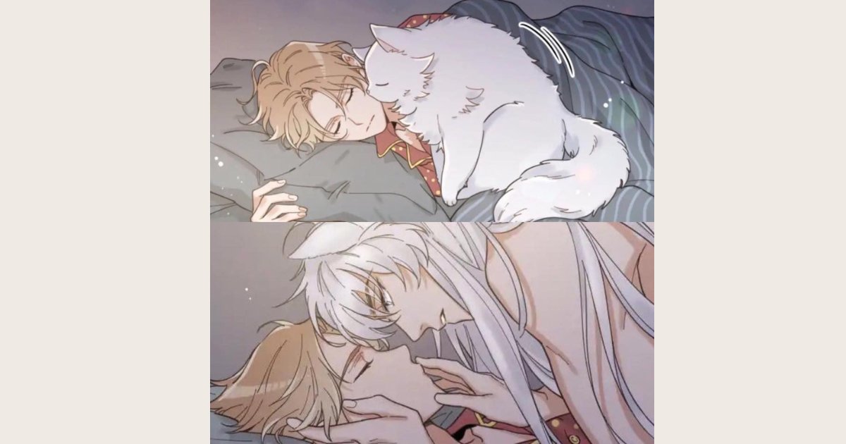 Truyện tranh đam mỹ nhân thú My One And Only Cat